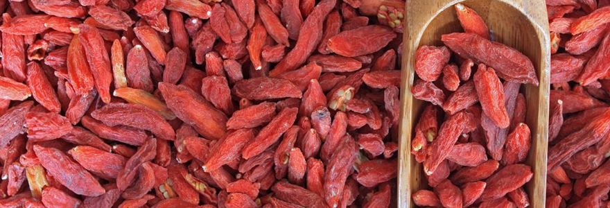 baies de goji