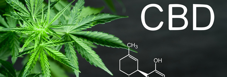 Consommation du CBD